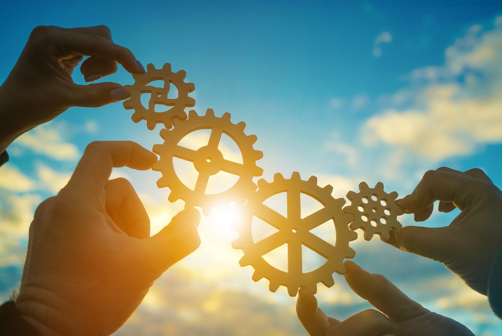 Organe einer Baugenossenschaft