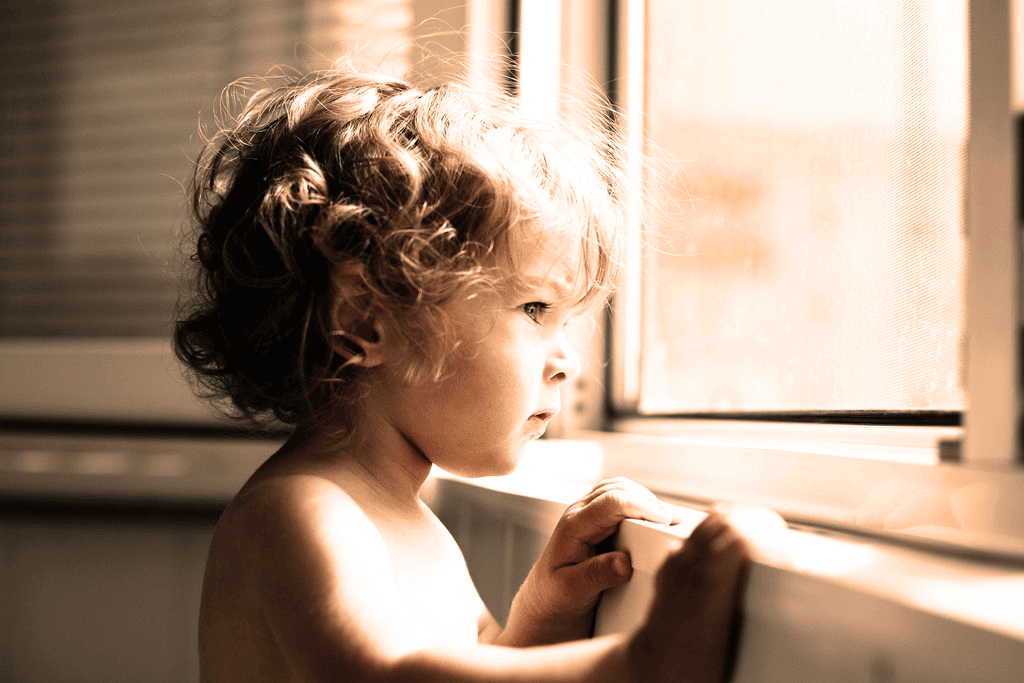 Família, Sucessões, Revisão de Sentenças Estrangeiras e Transcrição de Casamentos