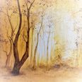 Herbstträume 50x50 cm  11/2017 vertreten durch Artvergnügen