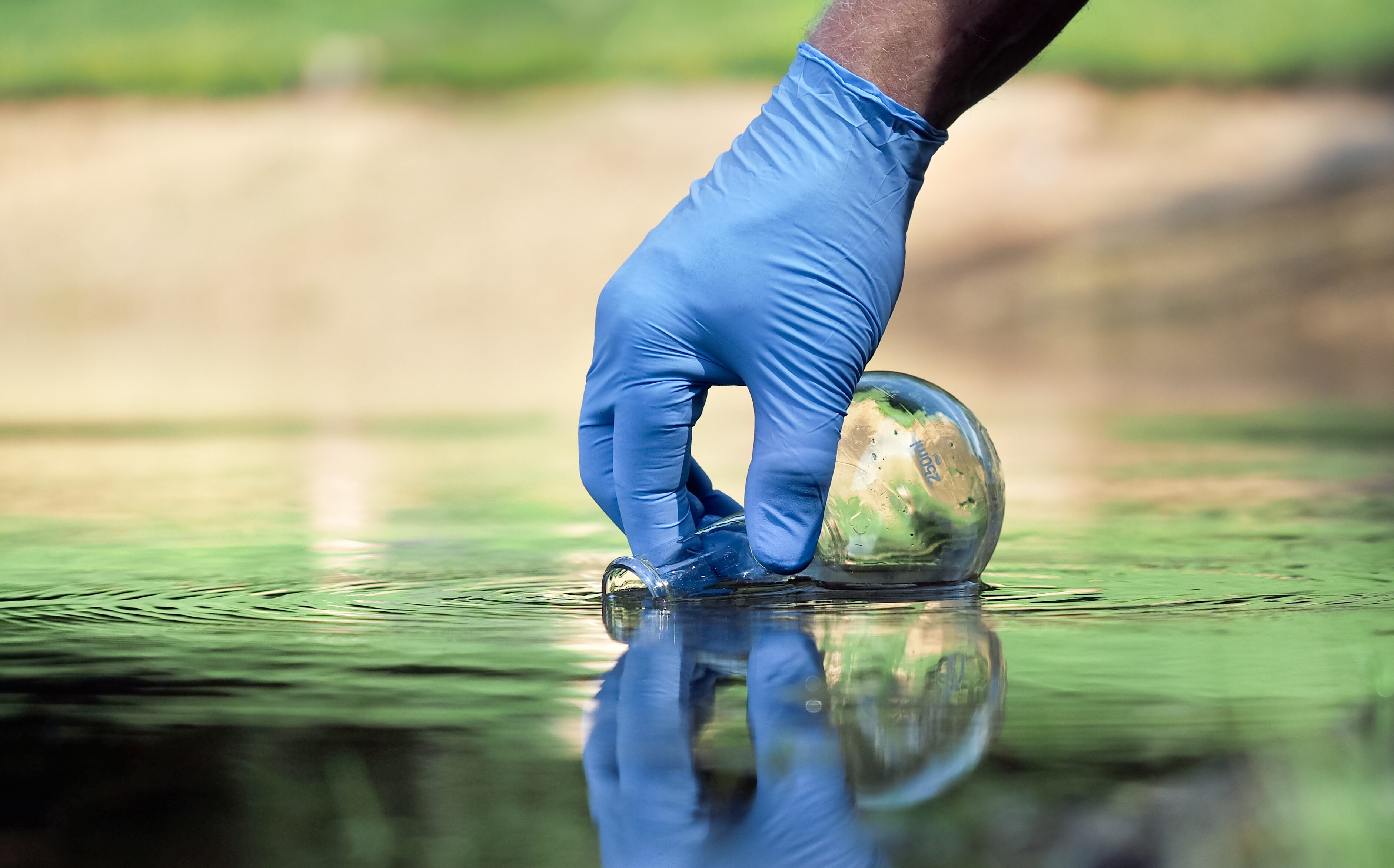 Verantwortung Tauchbetrieb Richter