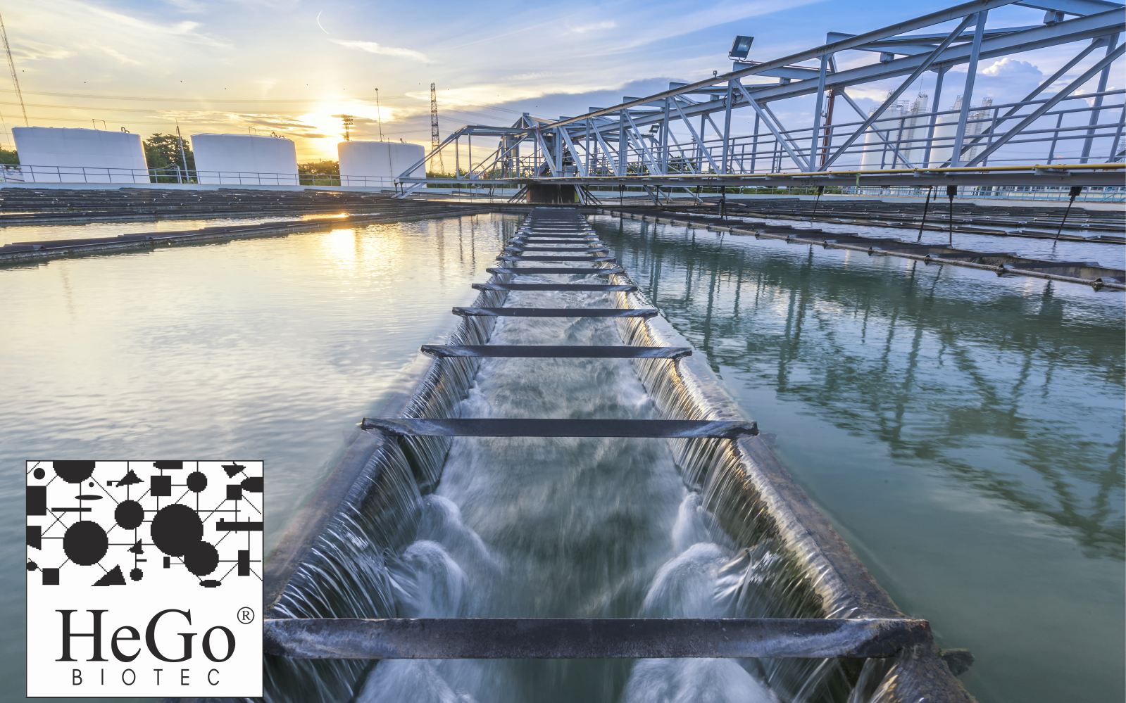 Hego Tauchbetrieb Richter