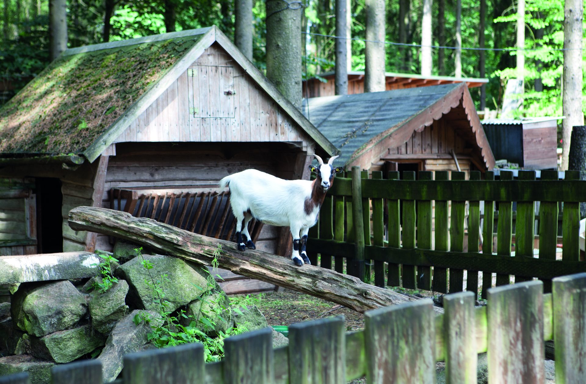 Butterberg Gasthof, Hotel und Ferienhaus mit besonderem Flair in Bischofswerda Butterberg Gasthof, Hotel und Ferienhaus mit besonderem Flair in Bischofswerda