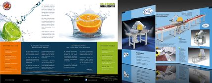 Pfalz.Marketing Flyer