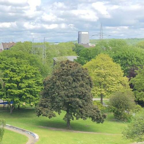 Blick in den Park von der Dachterrasse