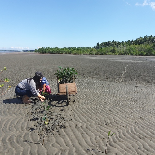 Click A Tree - Philippinen