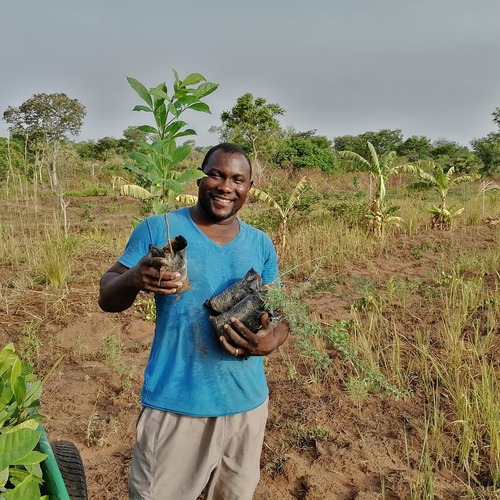 Click A Tree - Ghana