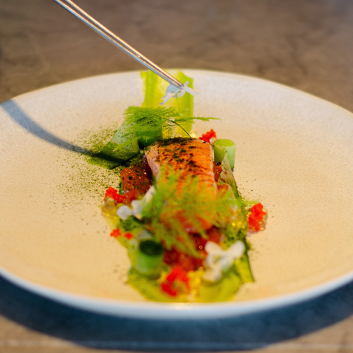 THE ROOF - Symbolbild