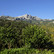 Sardinien hat nicht nur Meer, sondern auch Gebirge und Grün zu bieten -  hier der Mont' Albo.