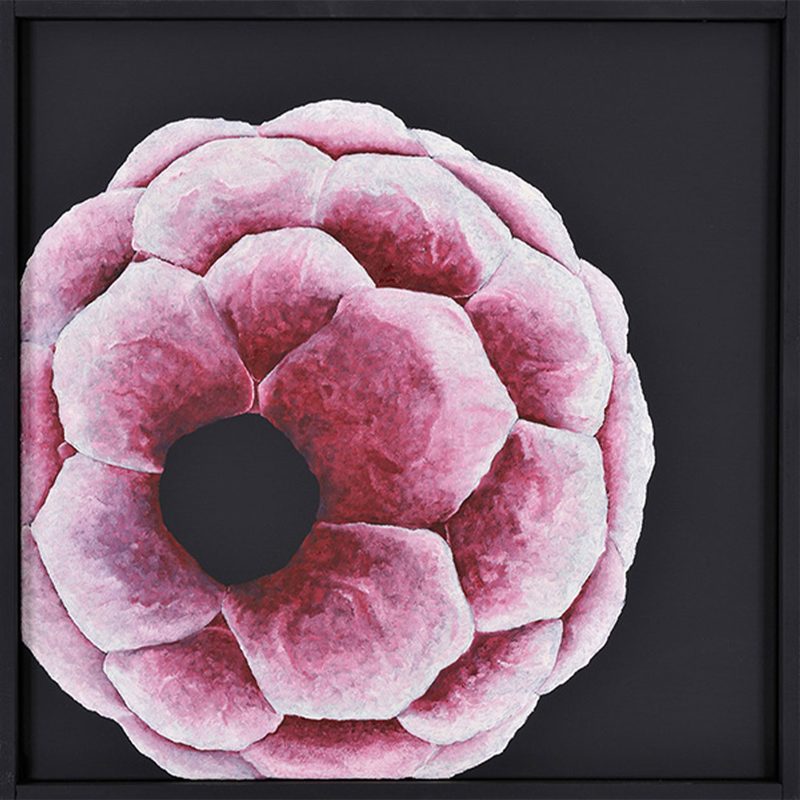 „Öffnung“ | 2011 | 50 x 50 cm | Öl, Dispersion auf Leinwand