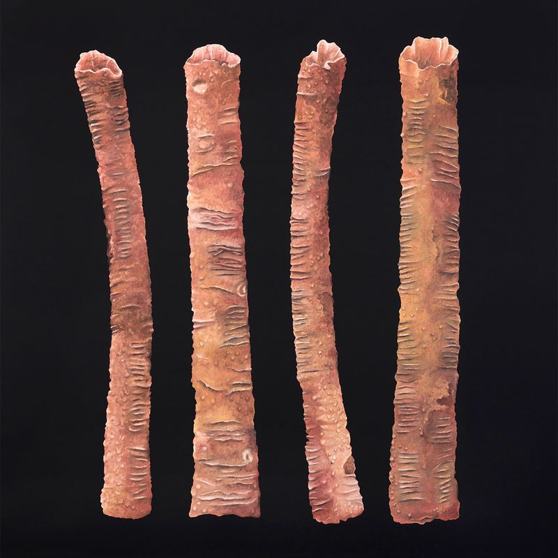 „Vier“ | 2018 | 150 x 150 cm | Öl, Dispersion auf Leinwand