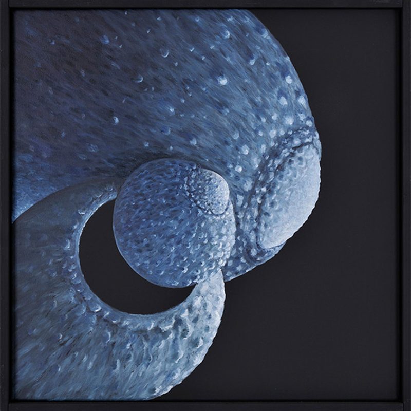 „Mamilla“ | 2009 | 50 x 50 cm | Öl, Dispersion auf Leinwand