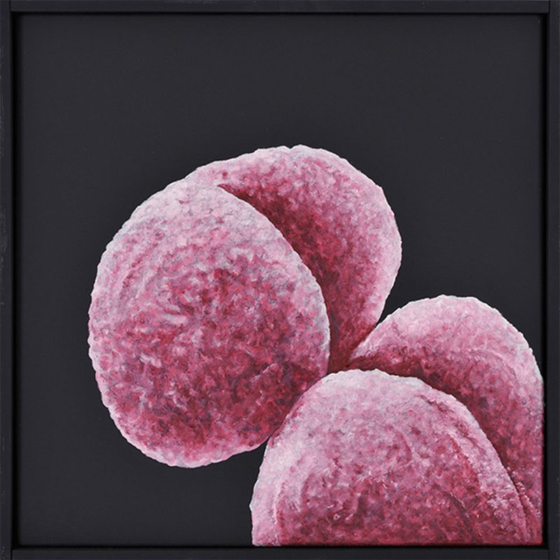 „Baci“ | 2011 | 50 x 50 cm | Öl, Dispersion auf Leinwand