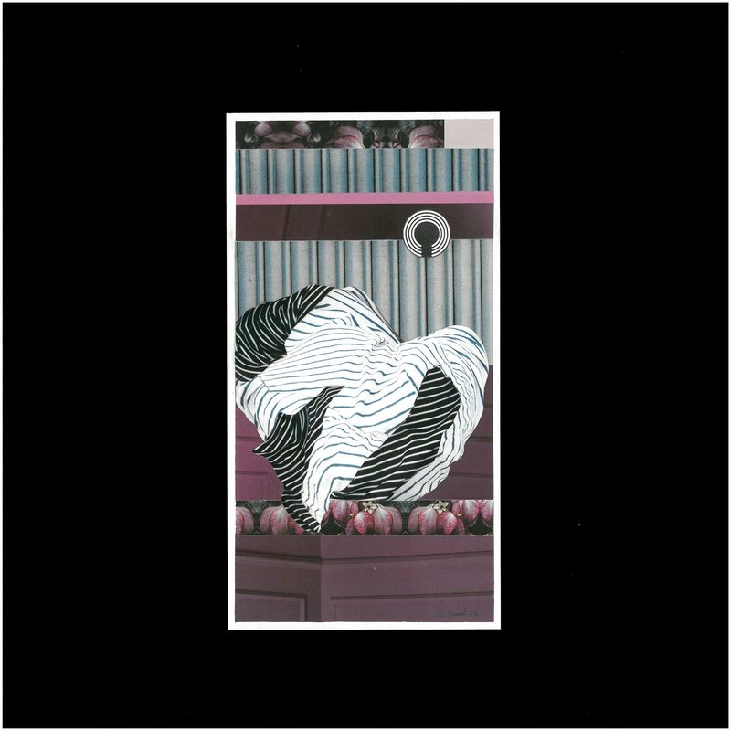 Narretei I | 2017 | 21 x 11 cm