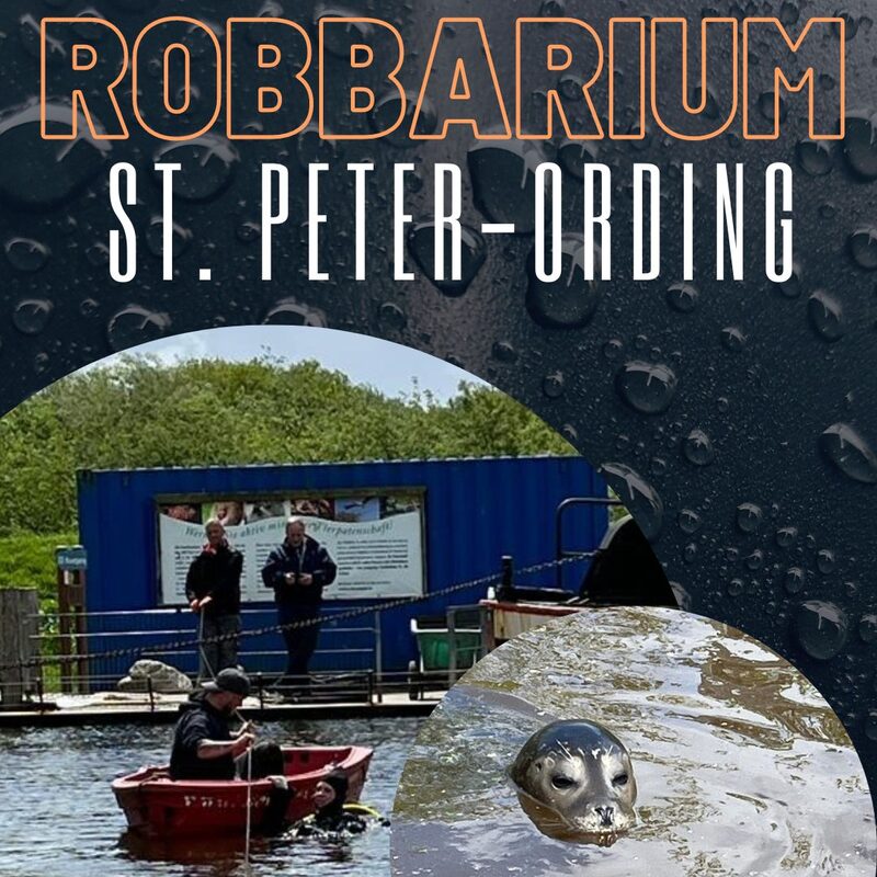 Robben Taucharbeiten