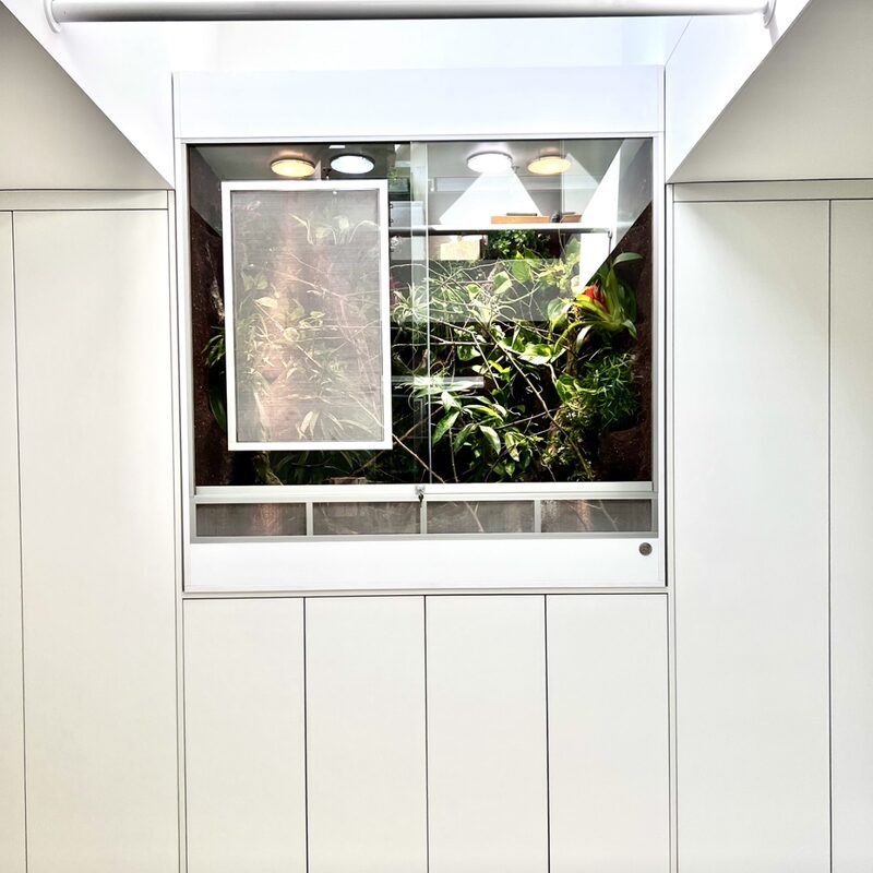 Chamäleon Terrarium