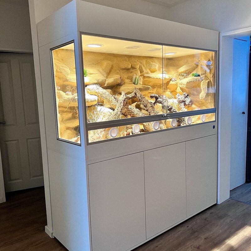 Bartagamen Terrarium