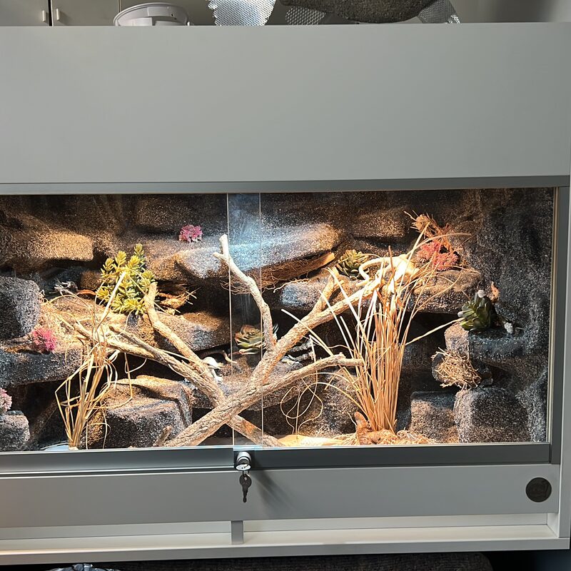 Leopardgecko Terrarium