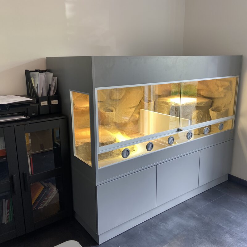 Schildkröten Terrarium