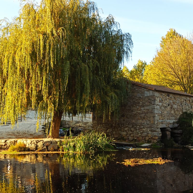 Praia Fluvial da Rapoula do Côa a 15minutos de carro - bar, jardim infantil, mesas para picnic