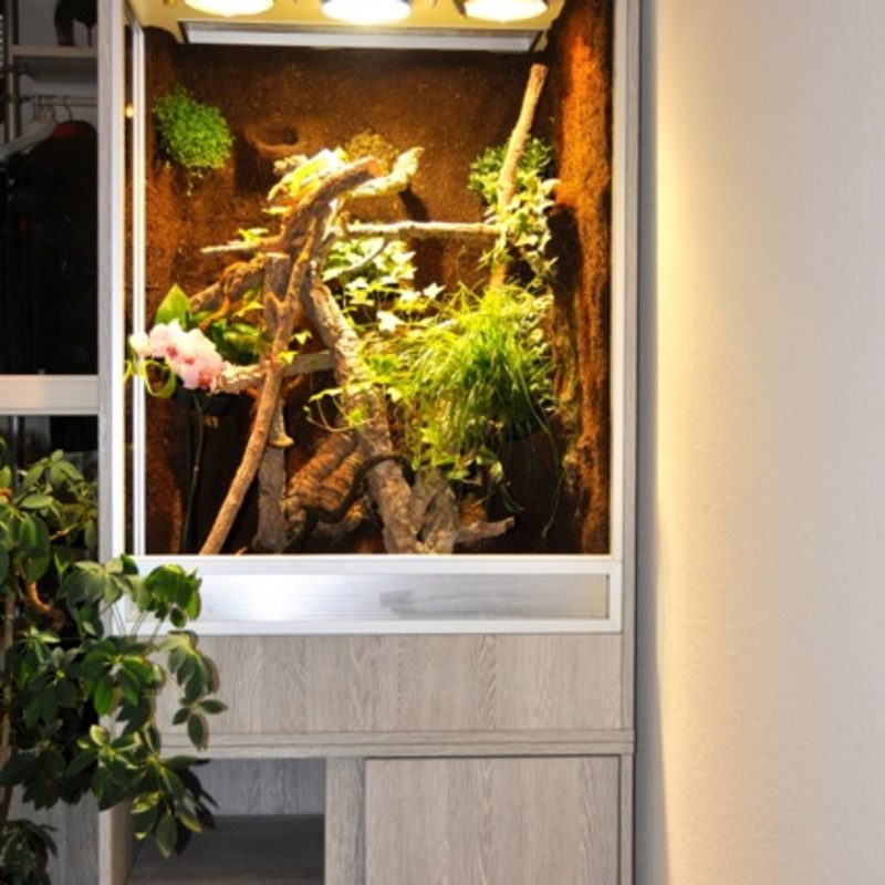Worauf Sie als Käufer vor dem Kauf der Terrarienbau achten sollten!