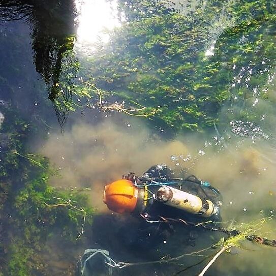 Tauchgang klare Sicht