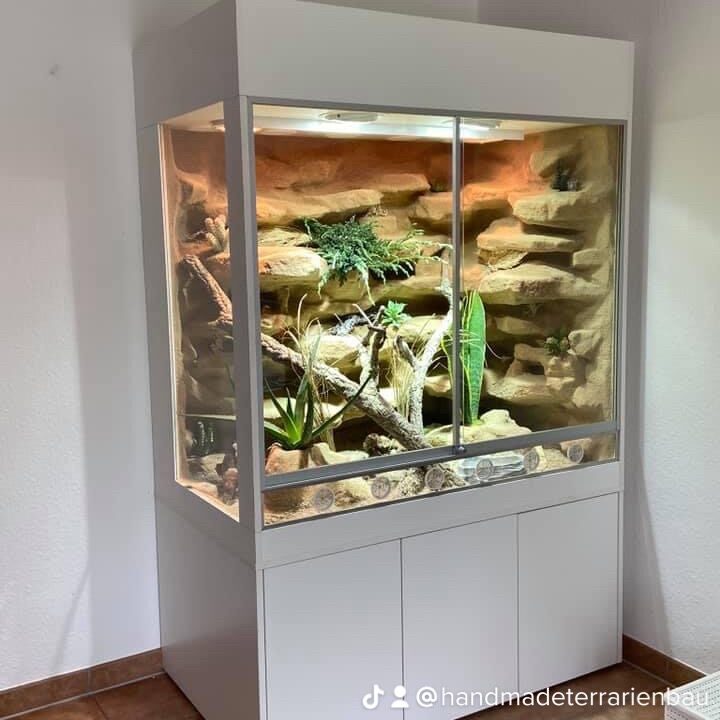 Leopardgecko Terrarium