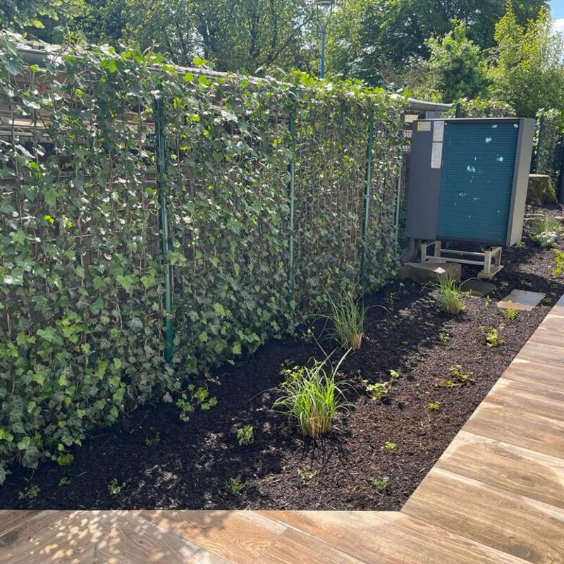 Bepflanzung Gartenhecke