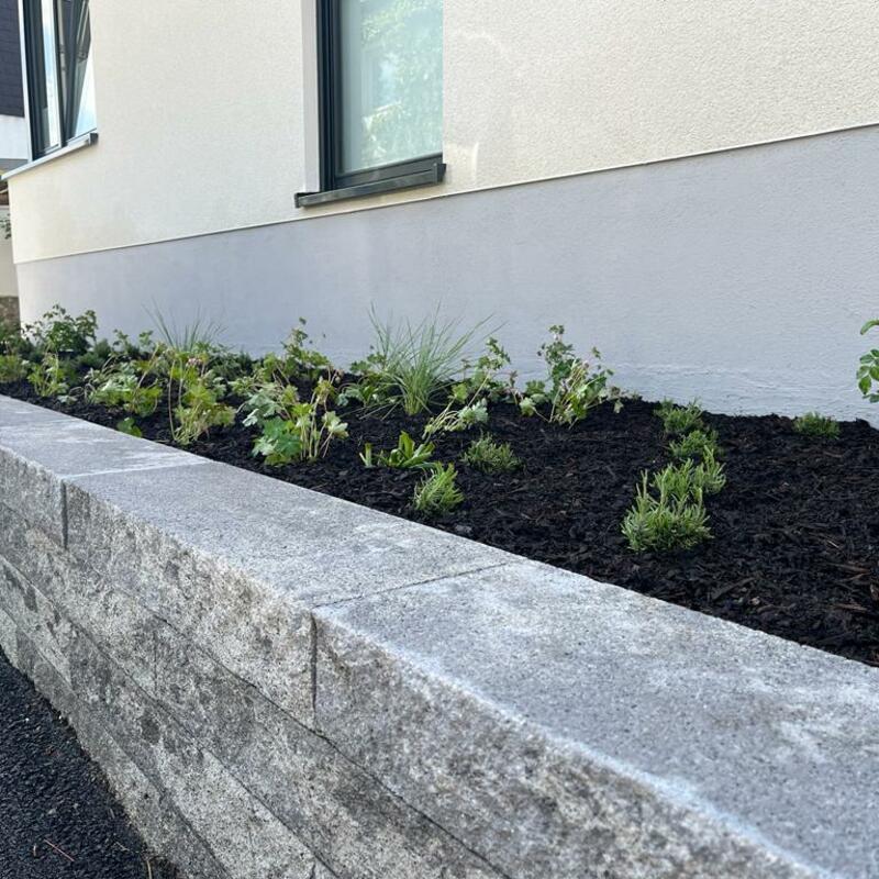 Bepflanzung Hochbeet