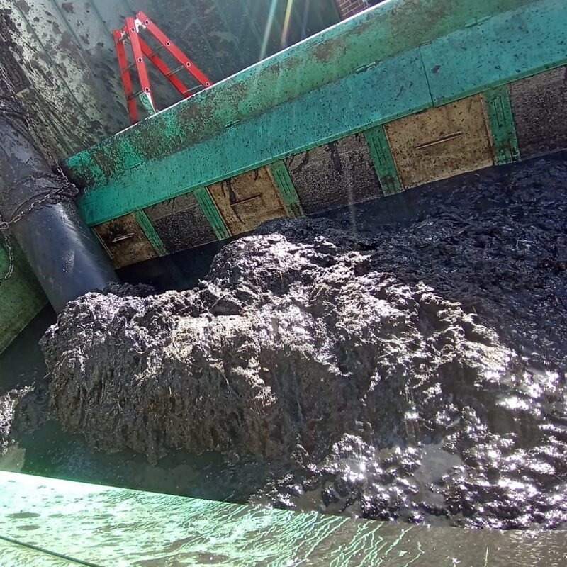 Verzopfungen aus einem Faulturm