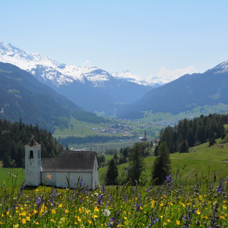 Foto Tourismus Savognin Bivio Albula AG - Sereina Giovanoli-Trenkwalder