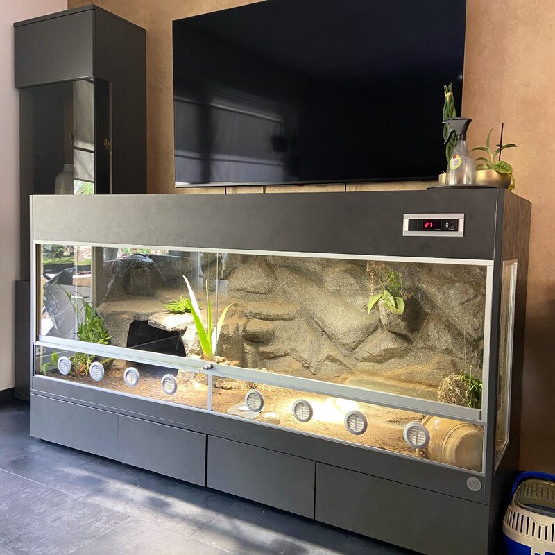 Landschildkröten Terrarium