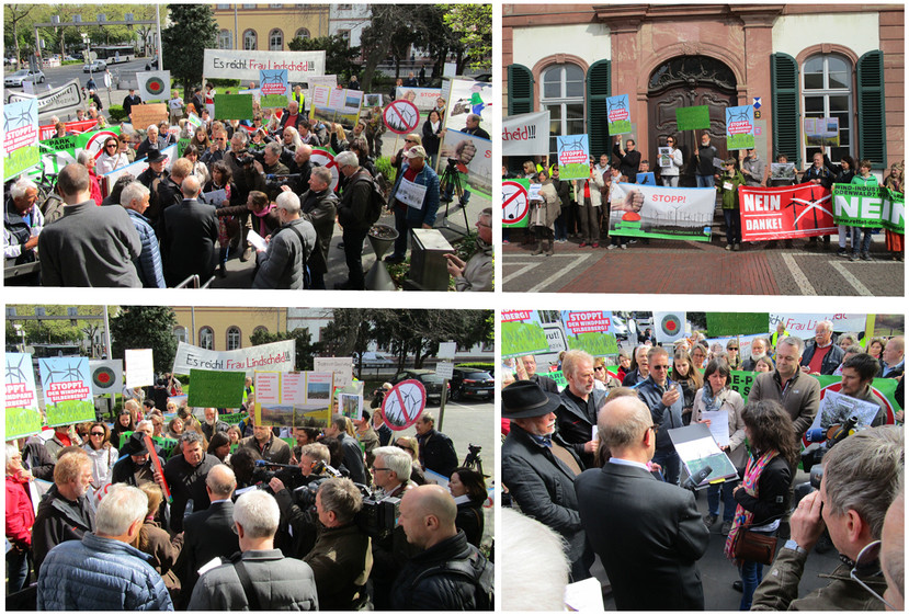 GRÜNE- NEIN DANKE! Demonstration von Vernunftkraft Odenwald beim